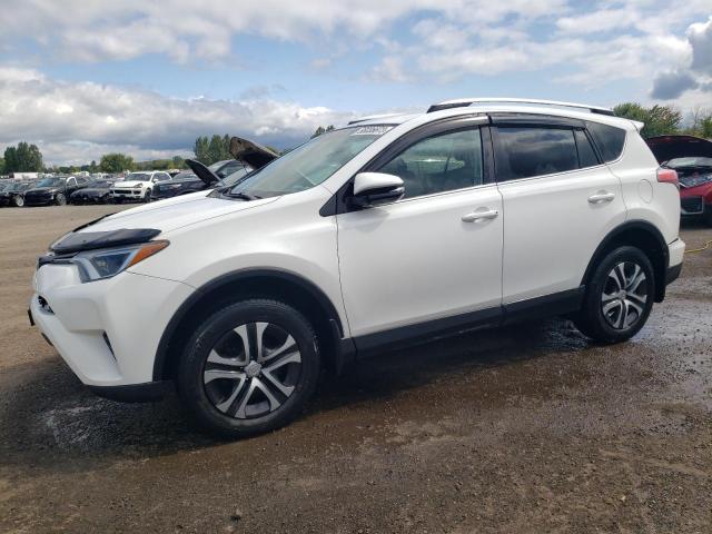 TOYOTA RAV4 LE 2016 2t3bfrev4gw470487