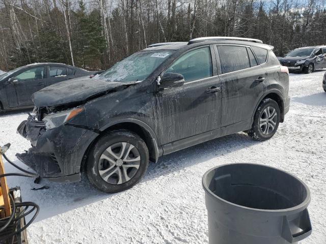 TOYOTA RAV4 LE 2016 2t3bfrev5gw429639