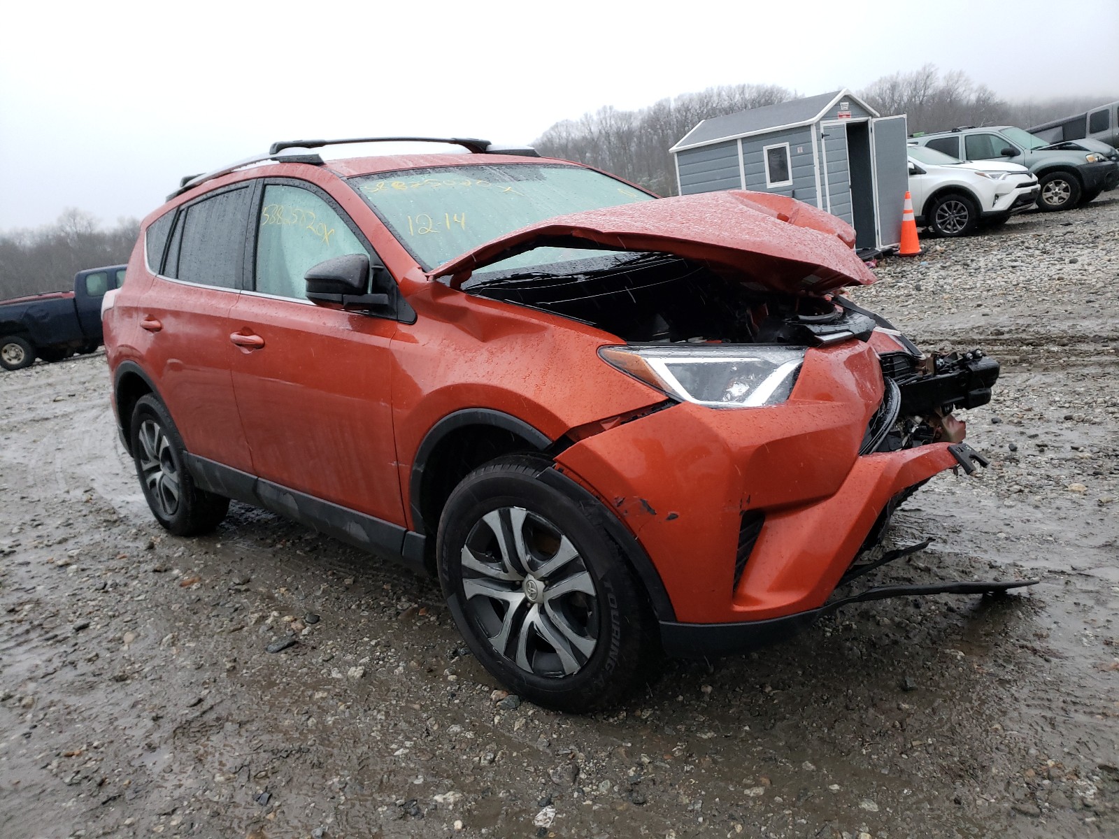 TOYOTA RAV4 LE 2016 2t3bfrev5gw437885