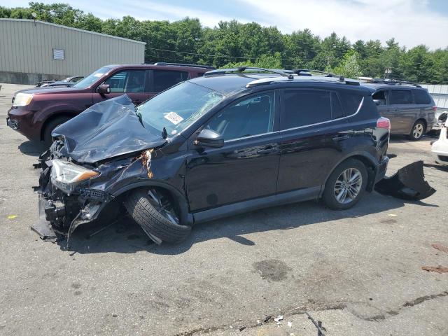 TOYOTA RAV4 2016 2t3bfrev5gw447316