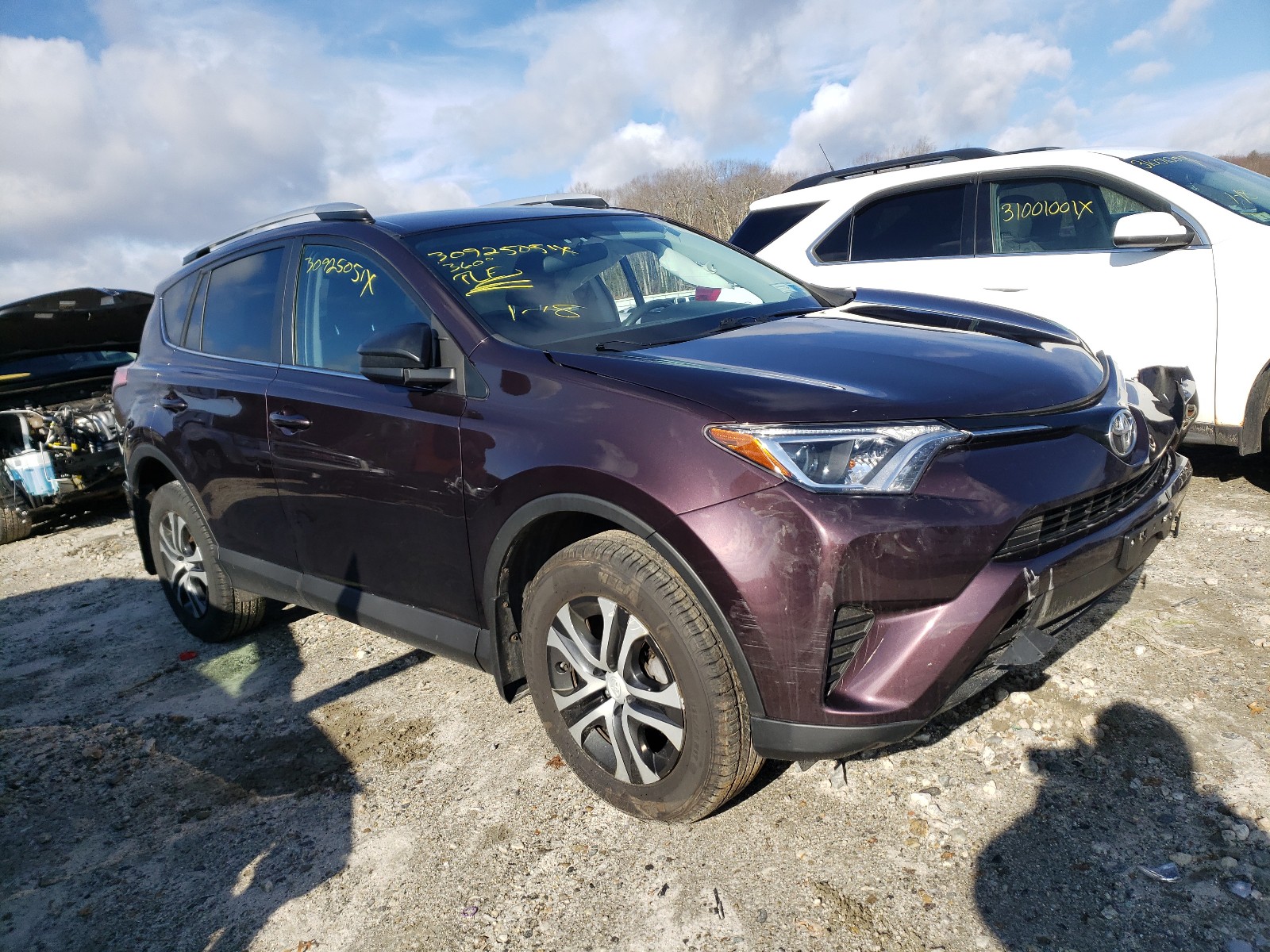 TOYOTA RAV4 LE 2016 2t3bfrev6gw500105