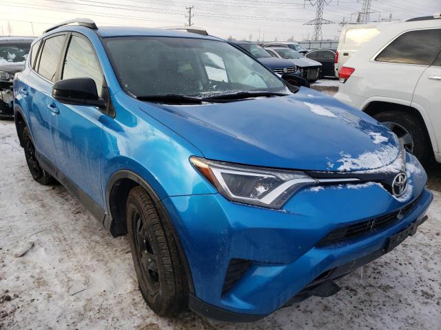 TOYOTA RAV4 LE 2016 2t3bfrev7gw533260