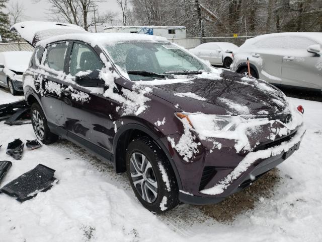 TOYOTA RAV4 LE 2018 2t3bfrev7jw776106