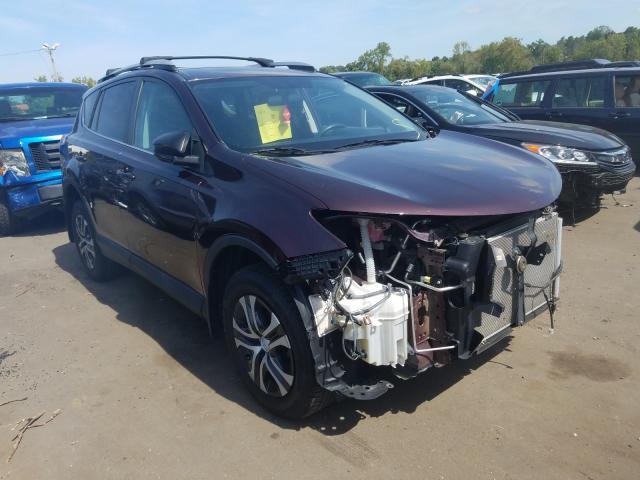 TOYOTA RAV4 LE 2016 2t3bfrev8gw489852