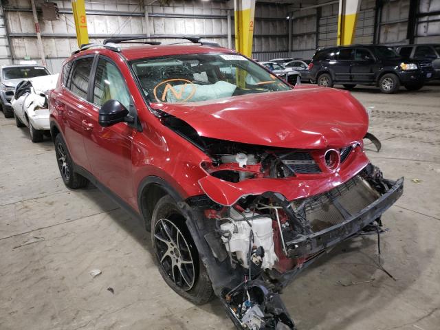 TOYOTA RAV4 LE 2013 2t3bfrev9dw067231