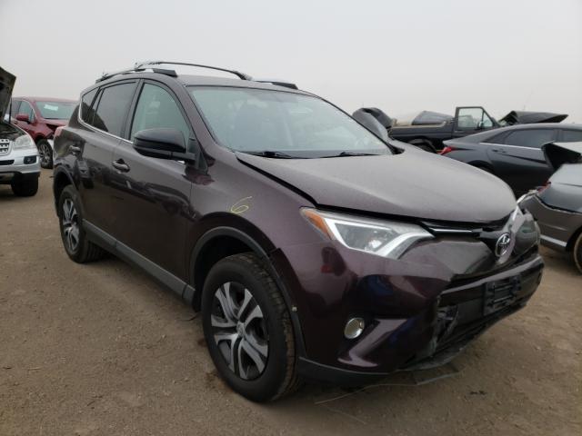 TOYOTA RAV4 LE 2016 2t3bfrev9gw482490