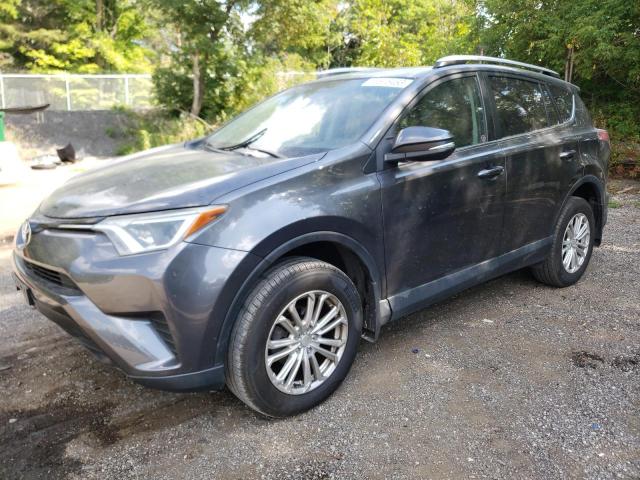 TOYOTA RAV4 2016 2t3bfrevxgw452141