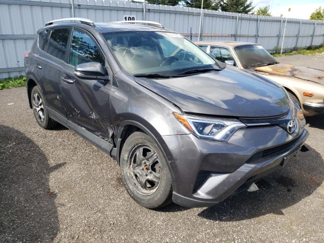 TOYOTA RAV4 LE 2016 2t3bfrevxgw464676