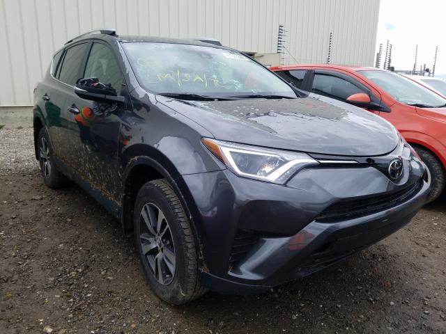 TOYOTA RAV4 LE 2018 2t3bfrevxjw815688