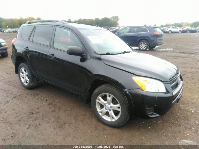 TOYOTA RAV4 2010 2t3bk4dv1aw028421