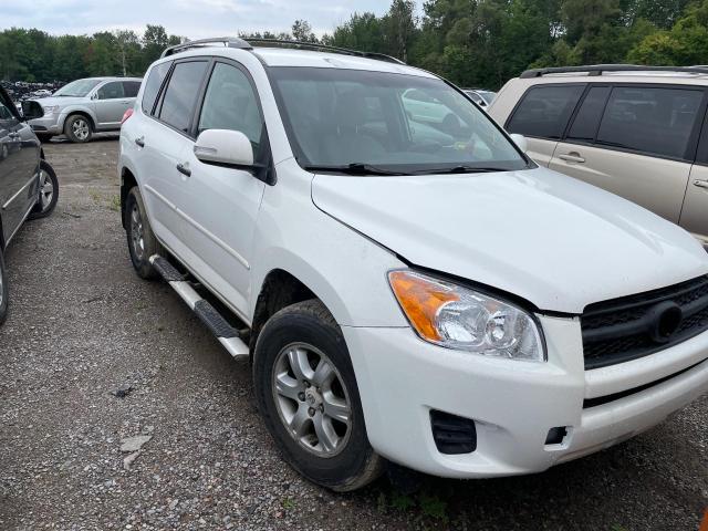 TOYOTA RAV4 2010 2t3bk4dv3aw030459