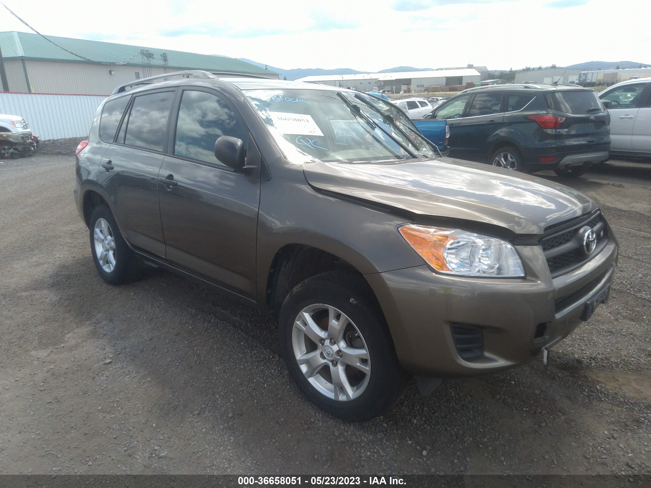 TOYOTA RAV 4 2010 2t3bk4dv3aw031806