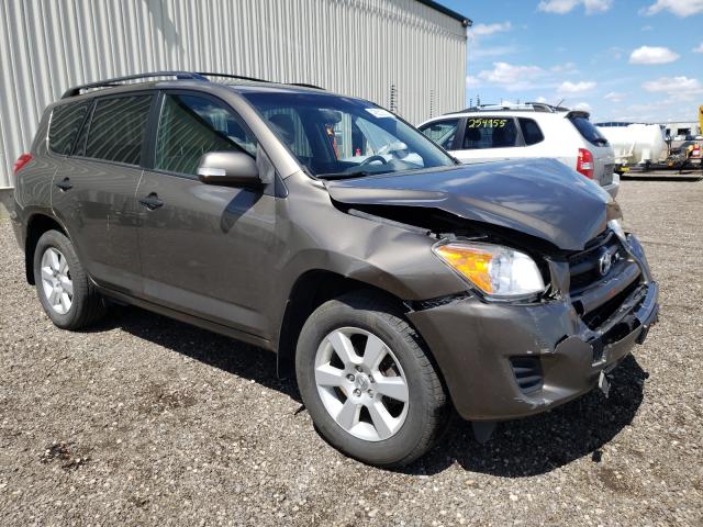 TOYOTA RAV4 2010 2t3bk4dv6aw016412