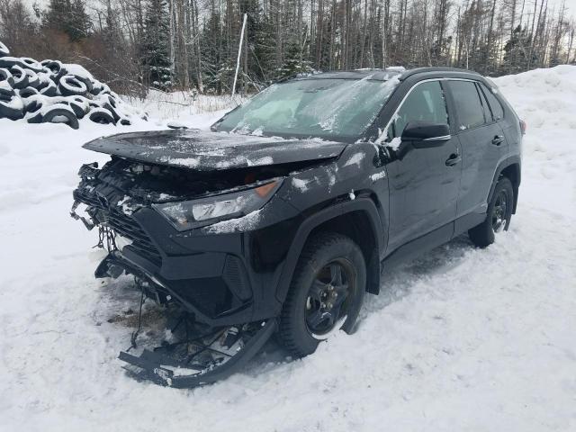 TOYOTA RAV4 LE 2021 2t3bwrfv1mw114511