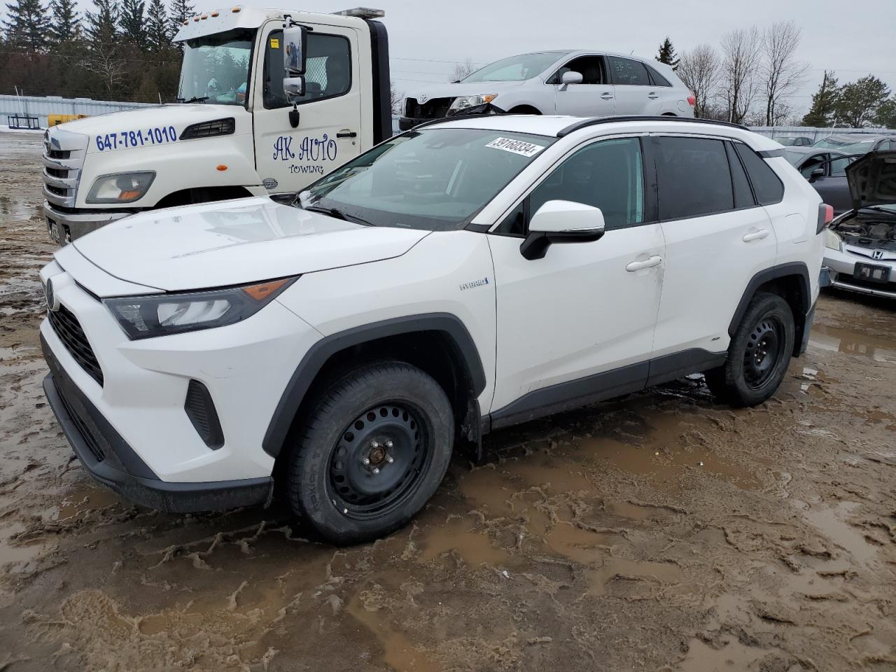 TOYOTA RAV 4 2019 2t3bwrfvxkw005235