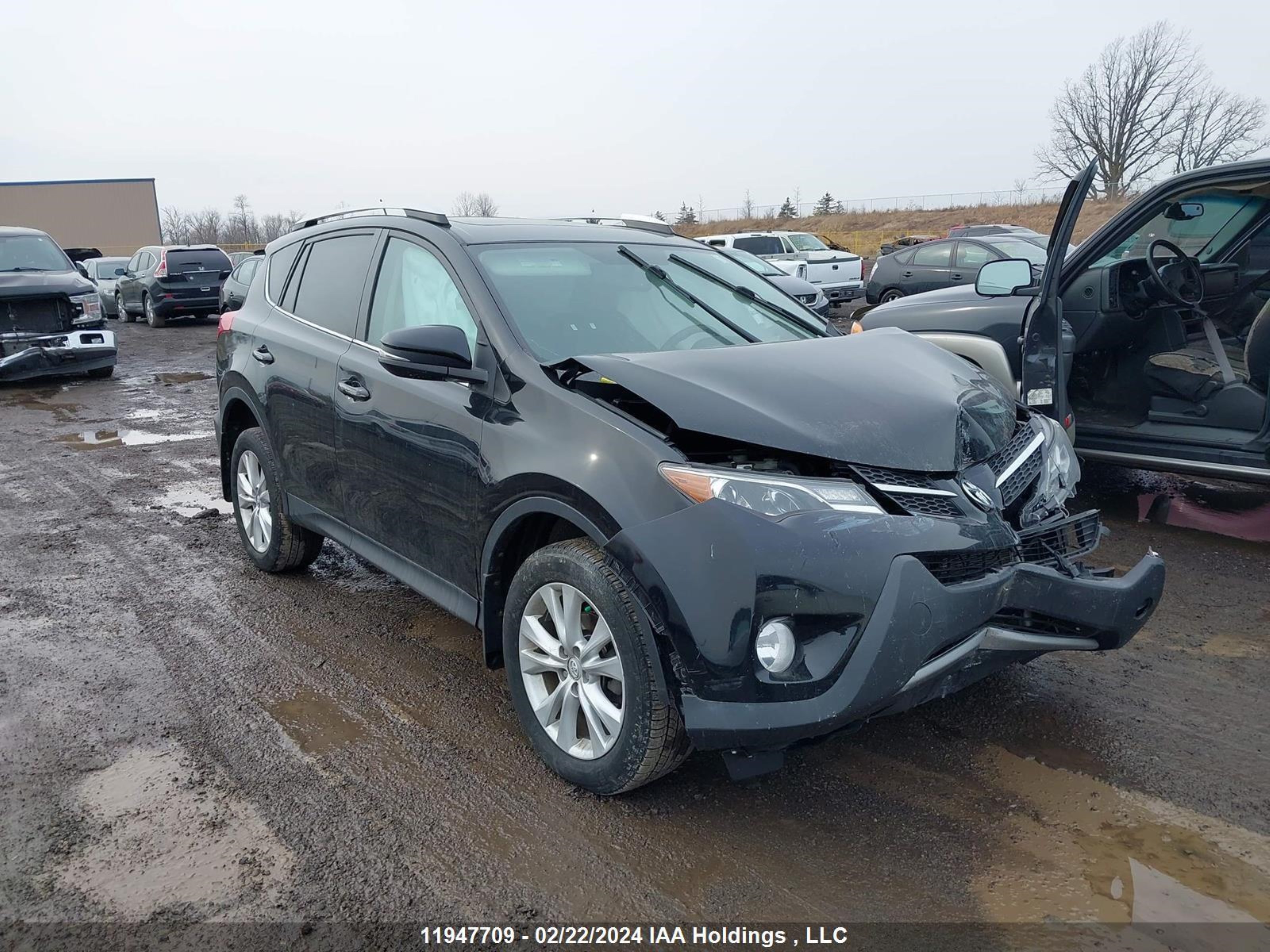 TOYOTA RAV 4 2013 2t3dfrev5dw069065