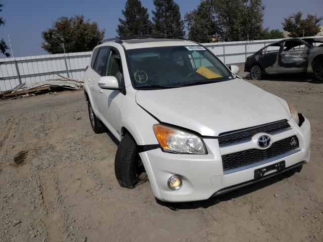 TOYOTA RAV4 LIMIT 2010 2t3dk4dv0aw034347