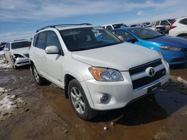 TOYOTA RAV4 LIMIT 2010 2t3dk4dv1aw034275