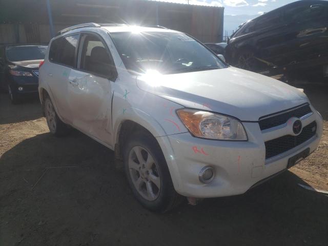 TOYOTA RAV4 LIMIT 2010 2t3dk4dv2aw016013