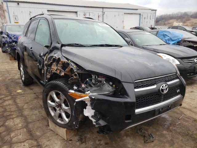 TOYOTA RAV4 LIMIT 2010 2t3dk4dv4aw019429