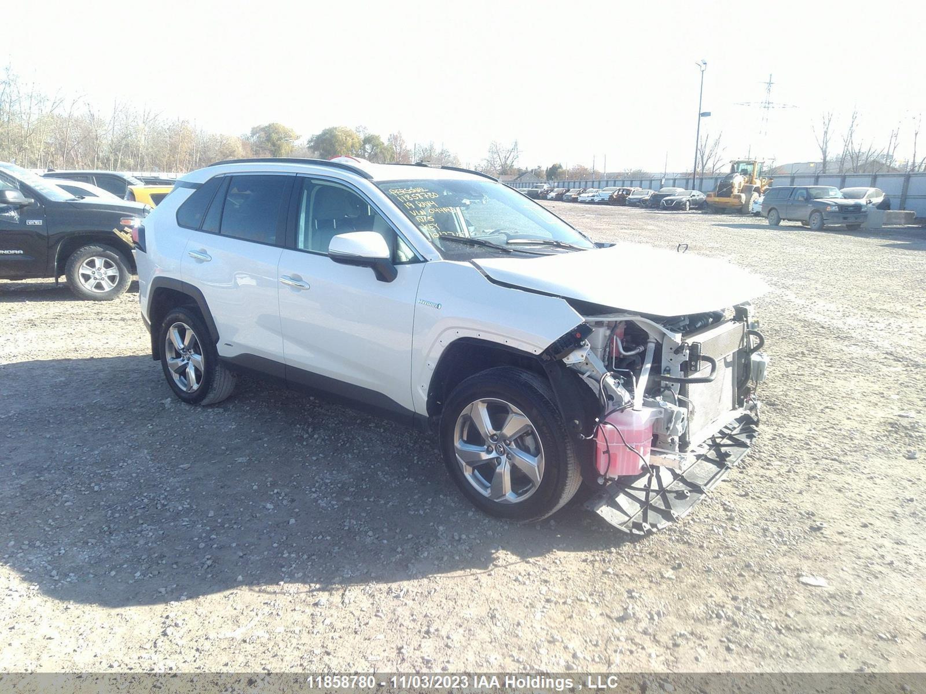 TOYOTA RAV 4 2019 2t3dwrfv0kw044442