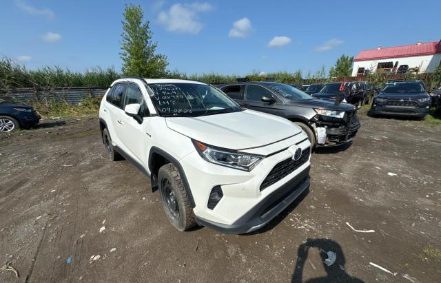 TOYOTA RAV4 2019 2t3dwrfv7kw001944