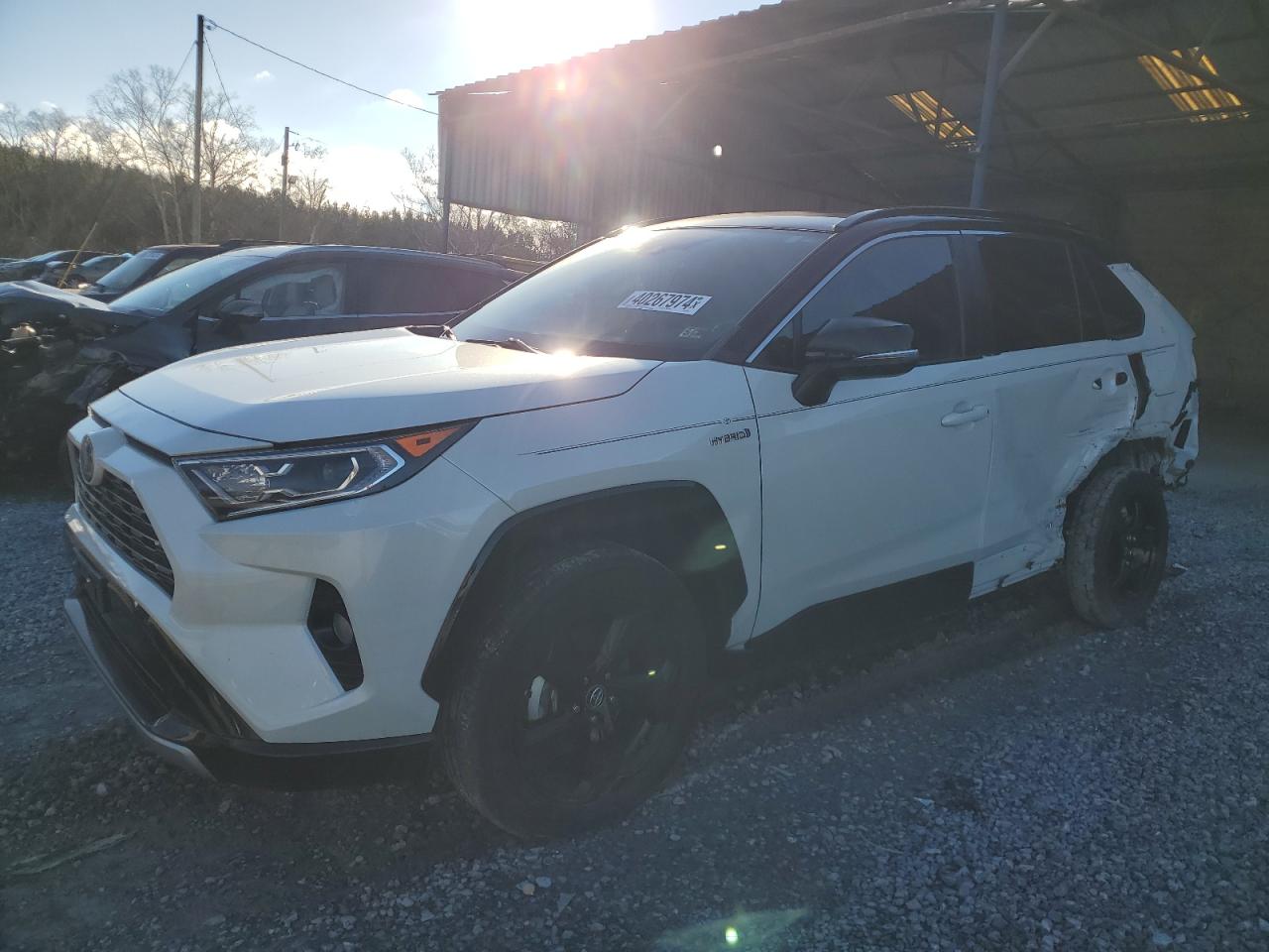 TOYOTA RAV 4 2019 2t3ewrfv5kw024790