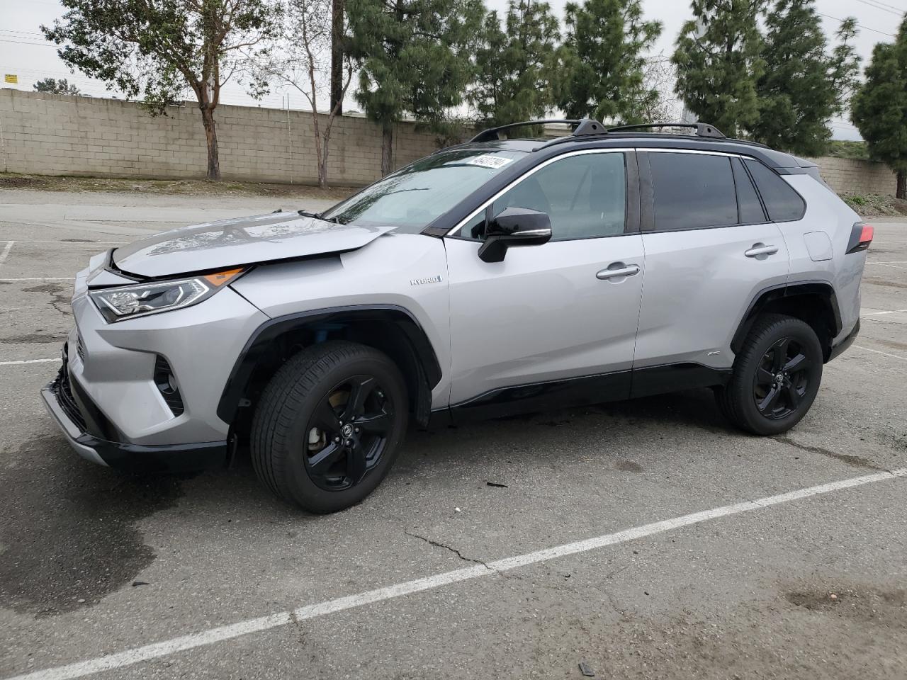 TOYOTA RAV 4 2019 2t3ewrfv8kw015632