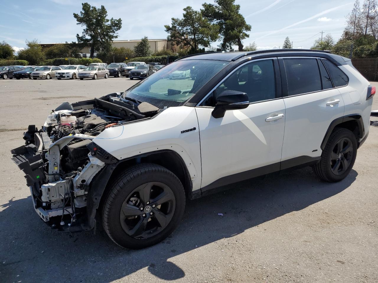 TOYOTA RAV 4 2019 2t3ewrfvxkw034134