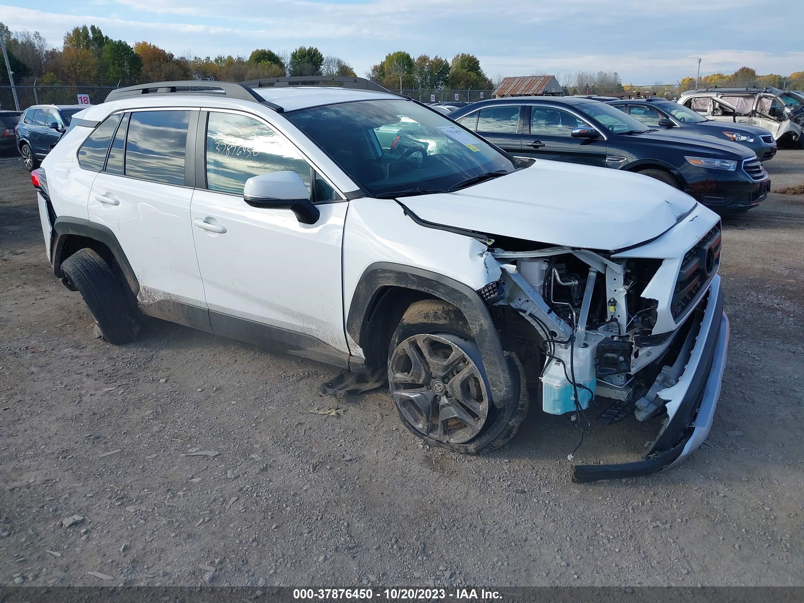 TOYOTA RAV 4 2023 2t3j1rfv5pw358788