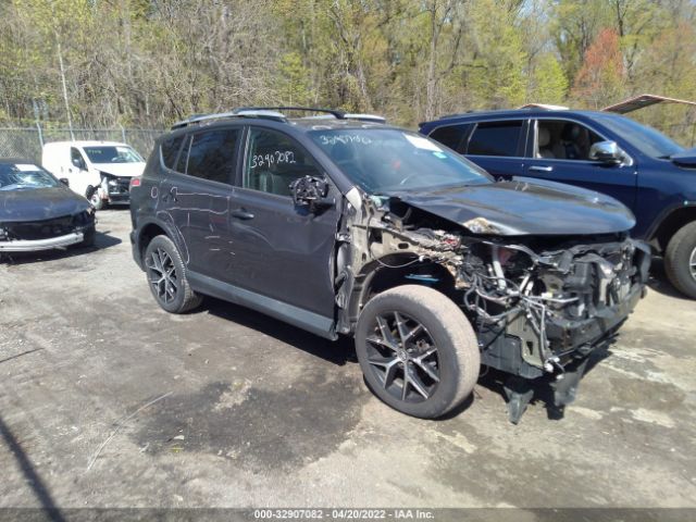 TOYOTA RAV4 2016 2t3jfrev0gw455528