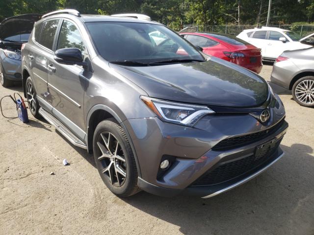 TOYOTA RAV4 SE 2016 2t3jfrev3gw461498