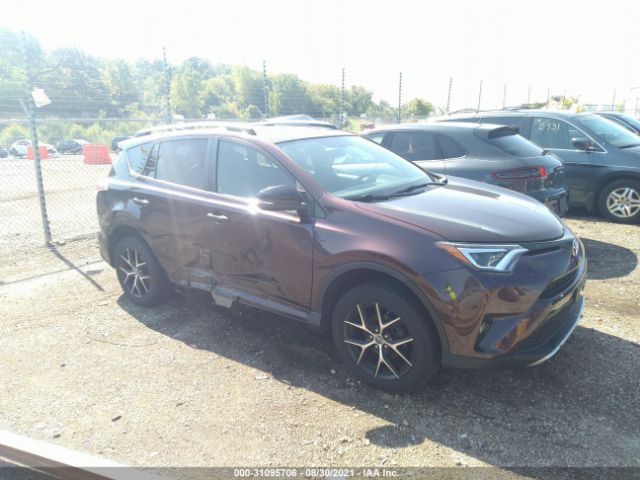 TOYOTA RAV4 2016 2t3jfrev5gw411055