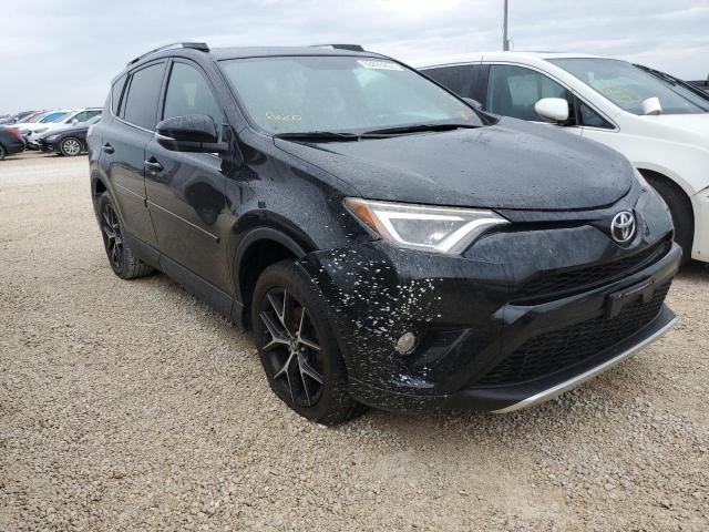 TOYOTA RAV4 SE 2016 2t3jfrev5gw483518