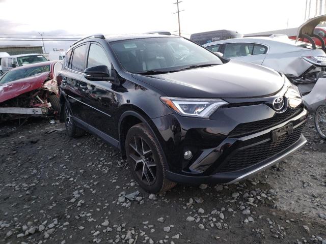 TOYOTA RAV4 SE 2016 2t3jfrev8gw464459