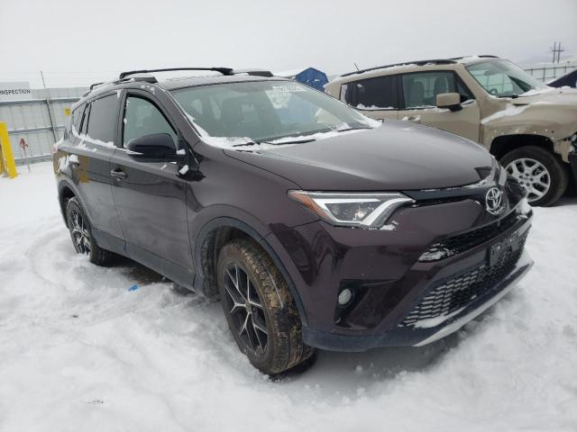 TOYOTA RAV4 SE 2016 2t3jfrev8gw536826