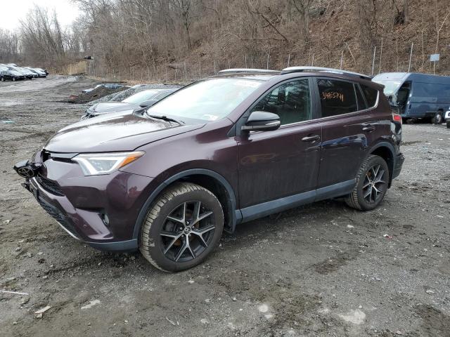 TOYOTA RAV4 2017 2t3jfrev8hw666378