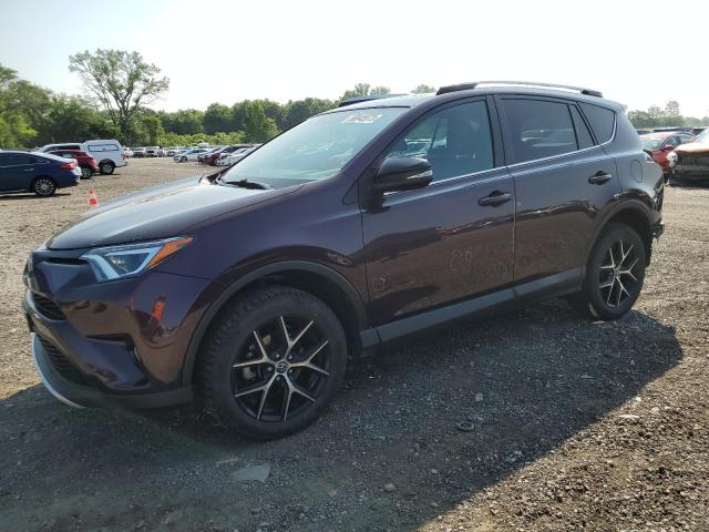 TOYOTA RAV4 SE 2016 2t3nfrev1gw270275