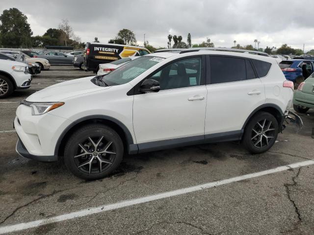 TOYOTA RAV4 SE 2016 2t3nfrev2gw289207