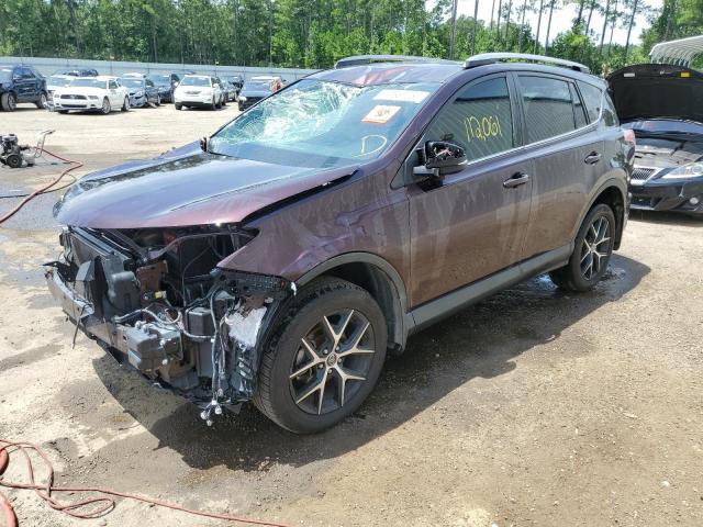 TOYOTA RAV4 SE 2017 2t3nfrev5hw338093