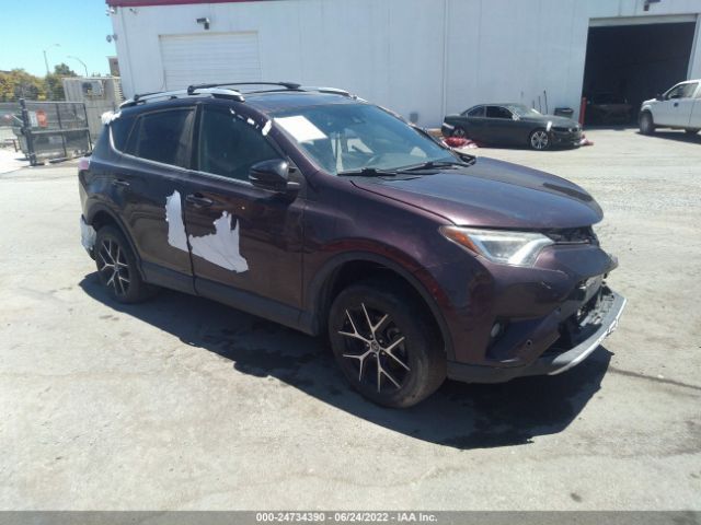 TOYOTA RAV4 2016 2t3nfrev6gw239877