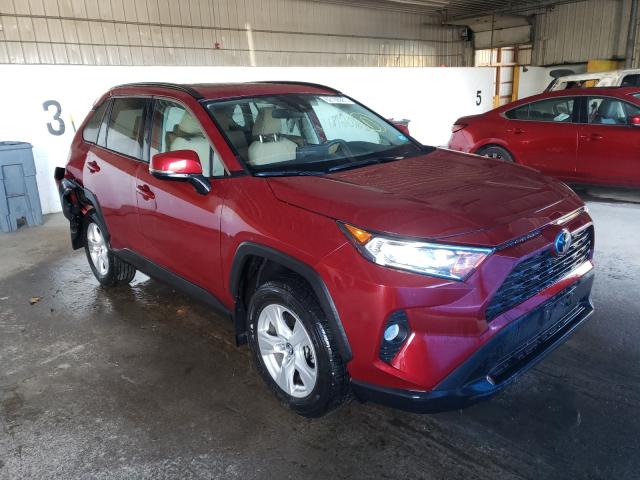 TOYOTA RAV4 XLE 2020 2t3p1rfv0lw086820