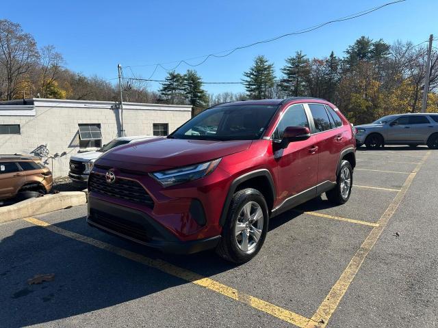 TOYOTA RAV4 XLE 2023 2t3p1rfv4pw374488