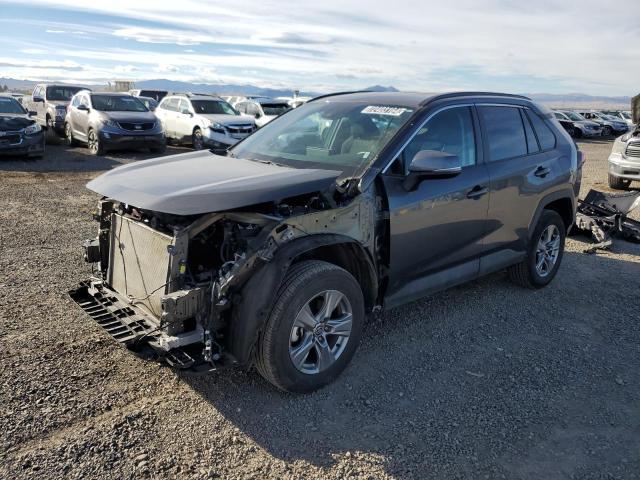 TOYOTA RAV4 XLE 2024 2t3p1rfv4rw421540