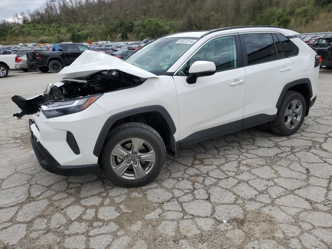 TOYOTA RAV 4 2024 2t3p1rfv8rc416195