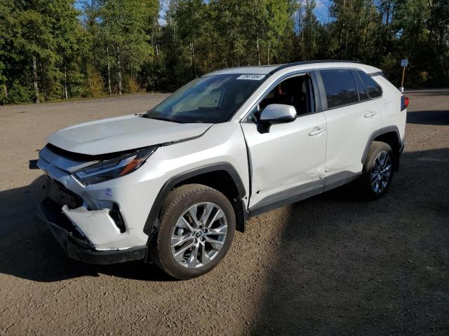 TOYOTA RAV4 XLE 2024 2t3r1rfv1rw439762