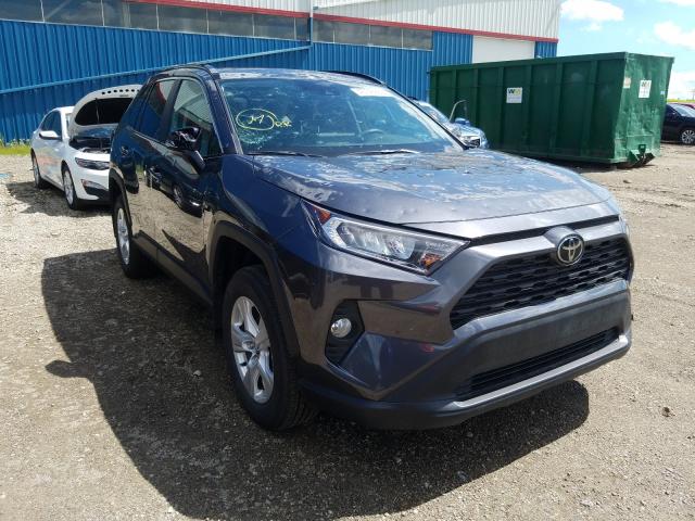 TOYOTA RAV4 XLE 2019 2t3r1rfv6kc035993