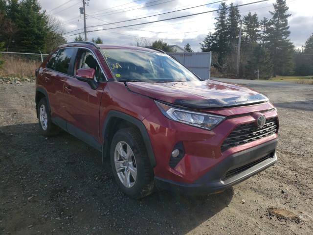 TOYOTA RAV4 XLE 2019 2t3r1rfv6kw040710