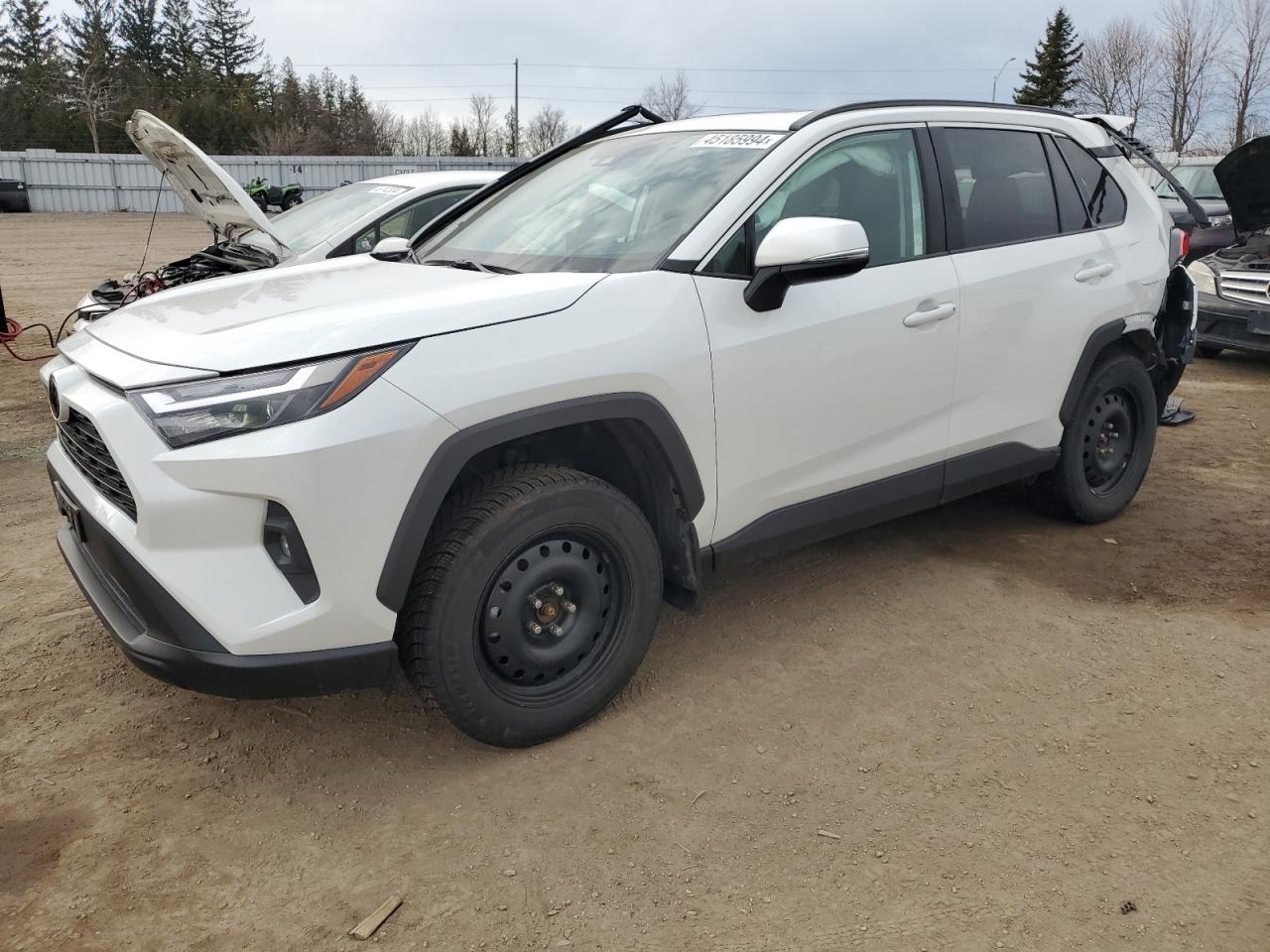 TOYOTA RAV 4 2023 2t3r1rfv8pw343317