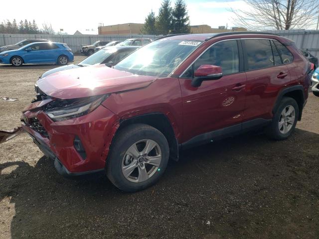 TOYOTA RAV4 2023 2t3r1rfv9pw364516